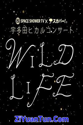 宇多田光：2010暂别歌坛演唱会封面图