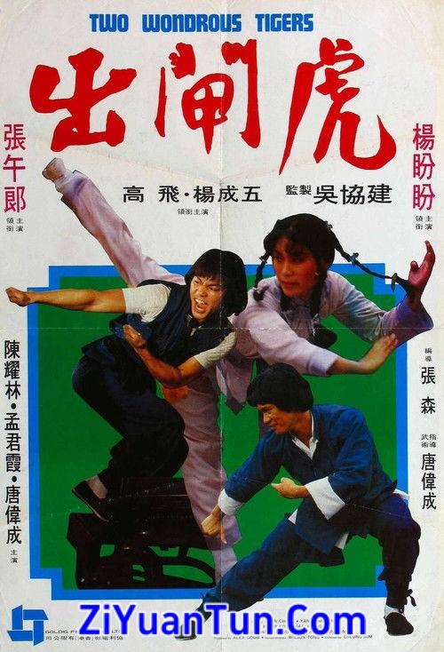 出闸虎封面图