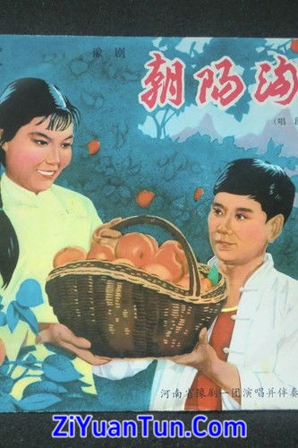 朝阳沟封面图