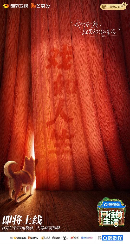 向往的生活 第八季封面图