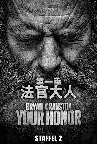 法官大人第一季封面图