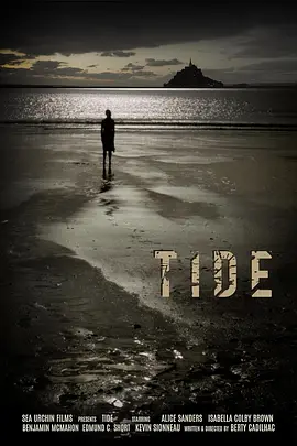 Tide封面图