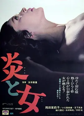 炎与女封面图