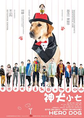 神犬小七 第一季封面图