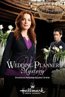wedding planner mystery封面图