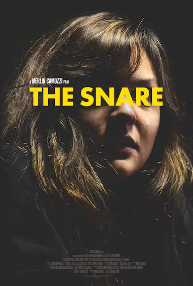 The Snare封面图