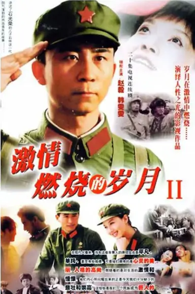 激情燃烧的岁月2