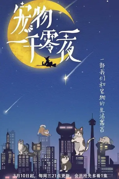 宠物一千零一夜
