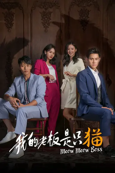 我的老板是只猫