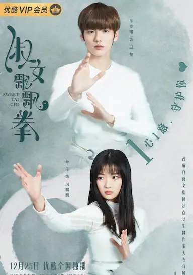 淑女飘飘拳