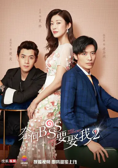 奈何boss要娶我2