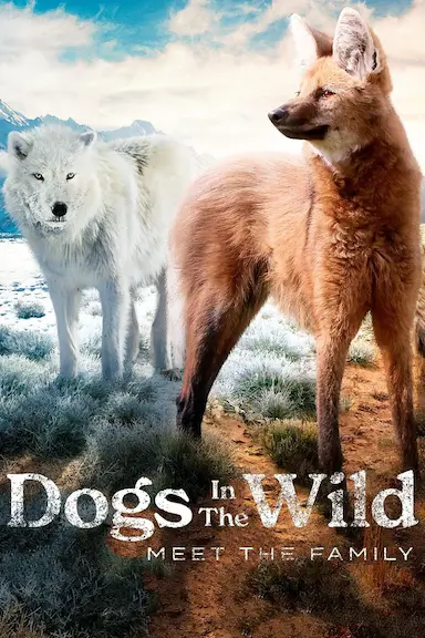 野犬家族