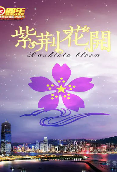 紫荆花开