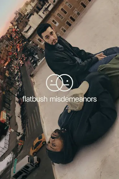 弗拉特布什轻罪 第一季