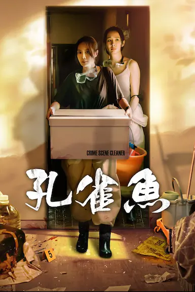 孔雀鱼