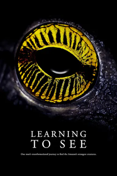 Learning to See: The World of Insects