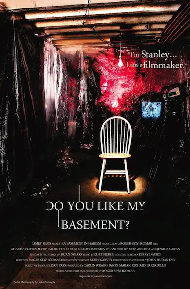 do you like my basement