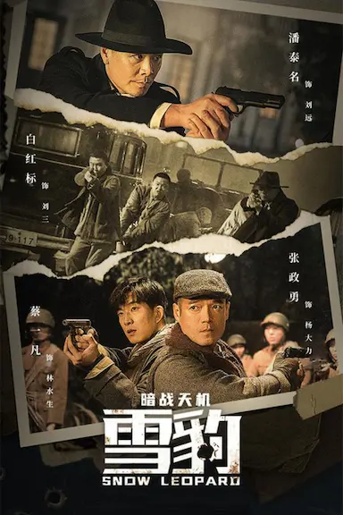 雪豹之暗战天机