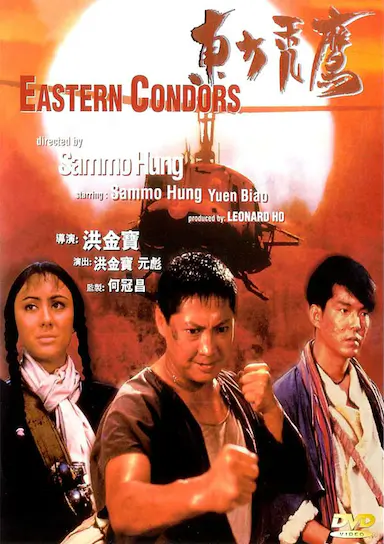 东方秃鹰