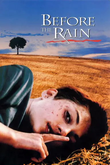 暴雨将至
