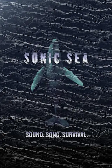 噪音海洋