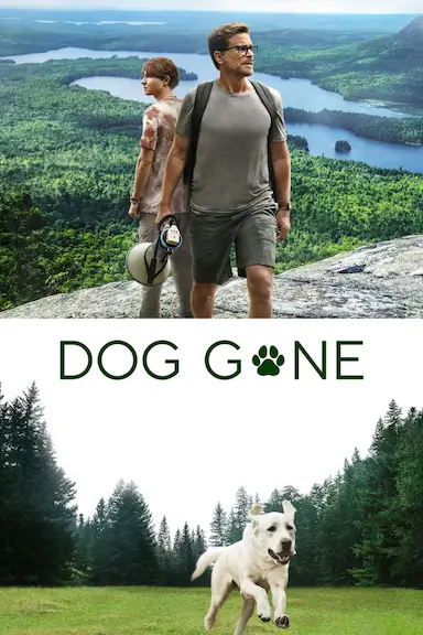 迷途之犬