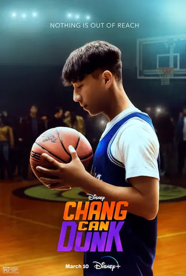 篮球少年张