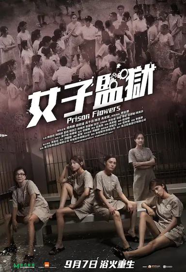 女囚风暴1995