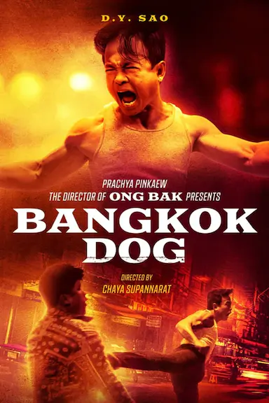 曼谷斗犬