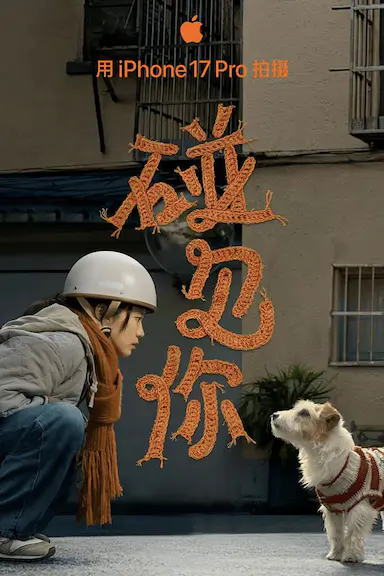碰见你