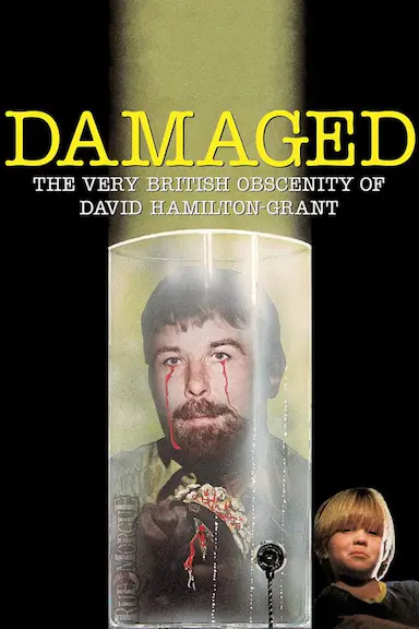 受损：大卫·汉密尔顿·格兰特的英国式淫秽历史