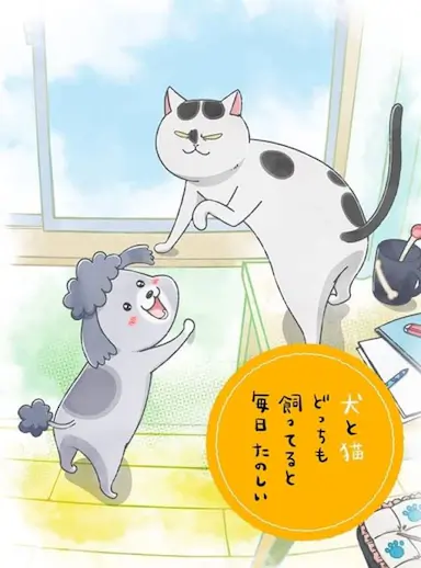 养狗与猫每天都很开心
