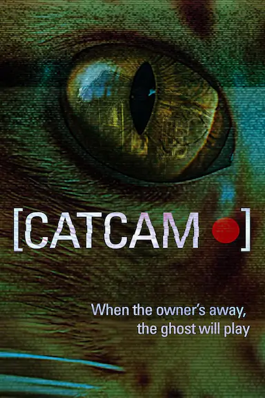 猫咪摄像头