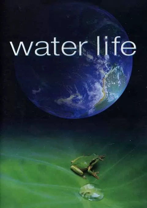 水世界