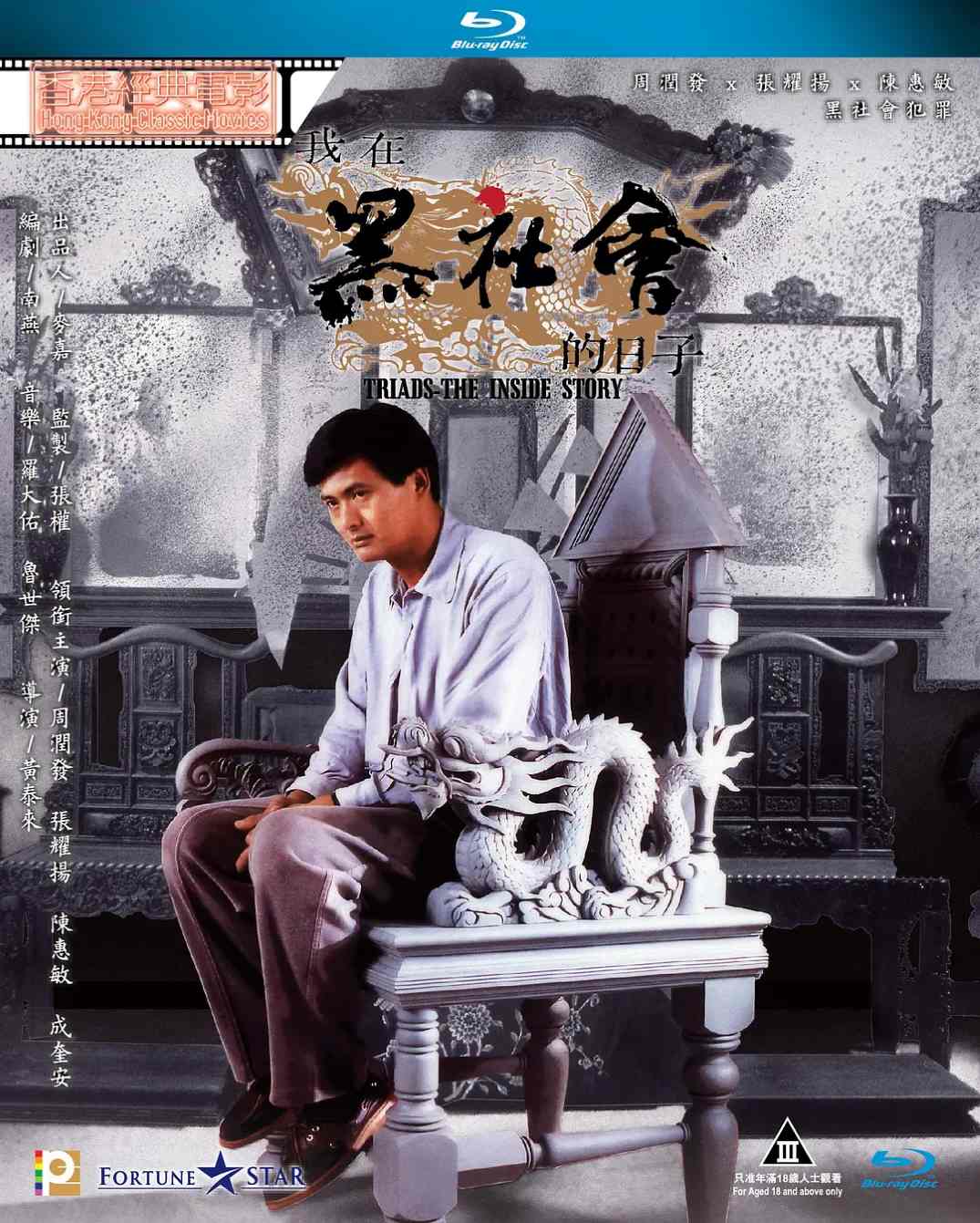 我在黑社会的日子