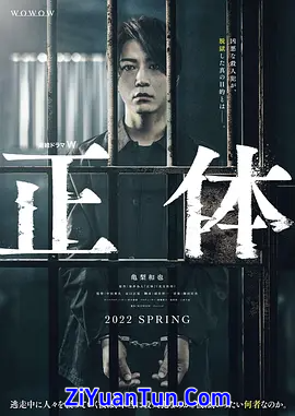 真实身份