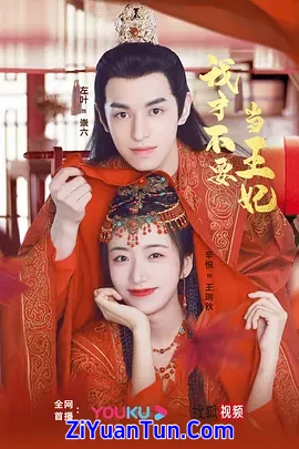 我才不要当王妃
