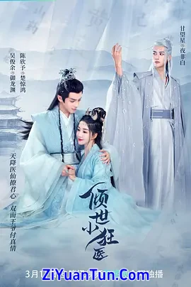倾世小狂医