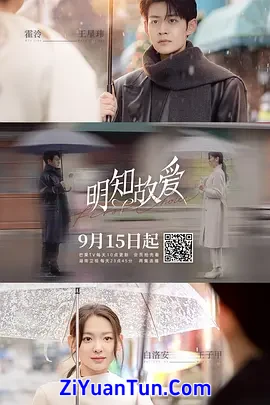 明知故爱