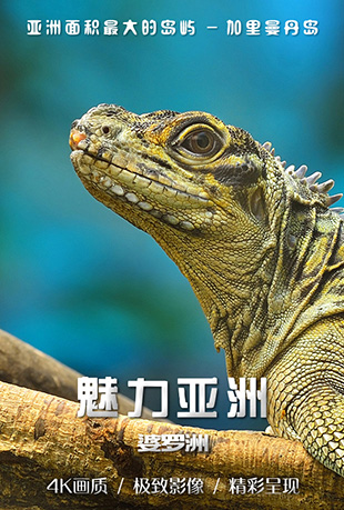 魅力亚洲：婆罗洲