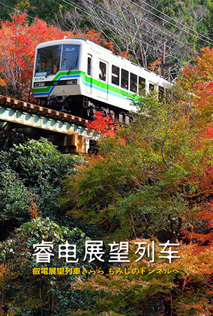 睿电展望列车
