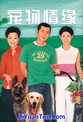 宠物情缘