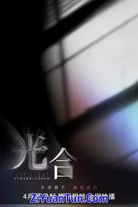 光合计划