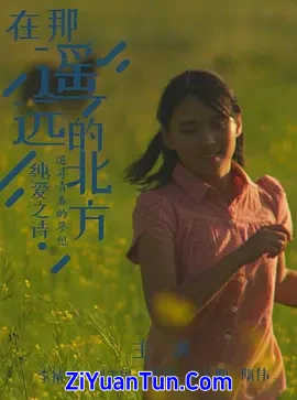 在那遥远的北方