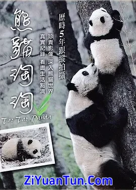 熊猫淘淘