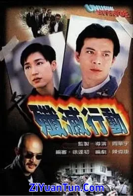 歼灭行动