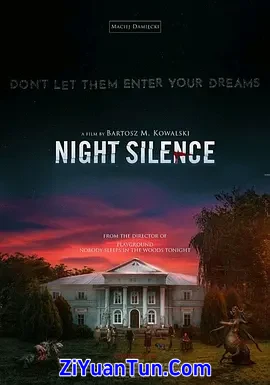 寂静之夜