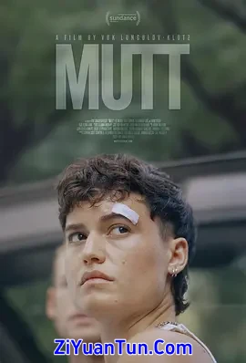 蠢货