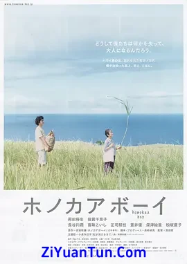 夏威夷男孩
