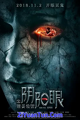 阴阳眼之瞳灵公馆